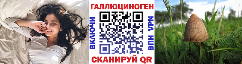 Галлюциногенные грибы GOLDEN TEACHER  Елец 